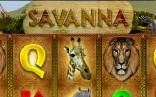 Savanna slot vlt online