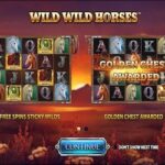 Wild Wild Horses slot
